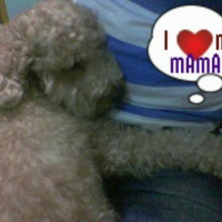 Photo #88417 de Bingo