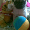 WOOPETS_3