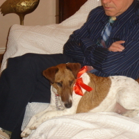 Photo #88867 de Jackou
