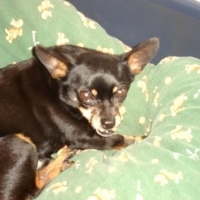 Photo #88879 de Jeckil