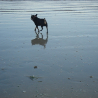 Photo #88885 de Jeckil