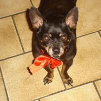 Photo #88891 de Jeckil