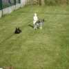 DSC00207