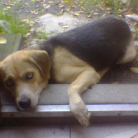 Photo #89173 de Tina