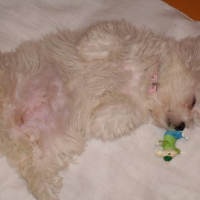 Photo #89305 de Luna