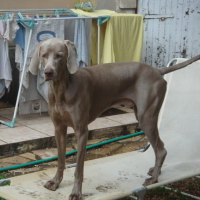 Photo #89365 de Carlos
