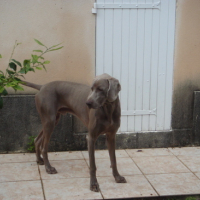 Photo #89371 de Carlos