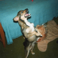Photo #89443 de Whisky