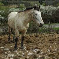 Photo #89611 de Gamin
