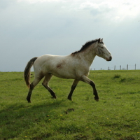 Photo #89617 de Gamin