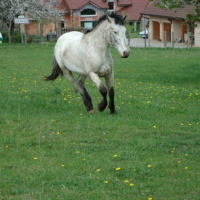 Photo #89623 de Gamin