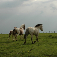 Photo #89629 de Gamin