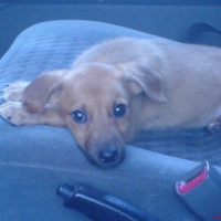 Photo #89953 de Max