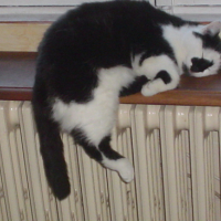 Photo #90493 de Alpha