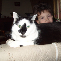 Photo #90535 de Alpha