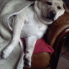 Picture0212