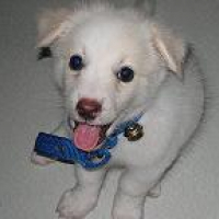 Photo #91561 de Magic