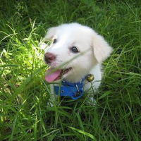 Photo #91573 de Magic