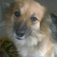 Photo #91585 de Kisses