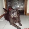 DSC00194