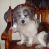 DSC00193