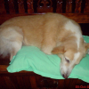 DSC00201