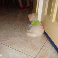 Photo #92407 de Bon-bon