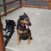 Resting after a swim @ Ruffey Lake Park...