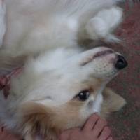 Photo #92827 de Happy