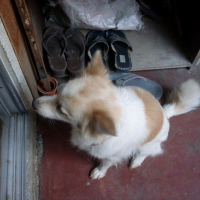 Photo #92833 de Happy