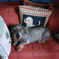 Photo #92893 de Susy