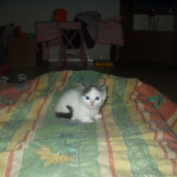 Photo #93547 de Minette