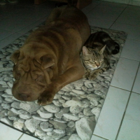 Photo0246