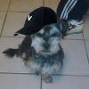 Photo0003