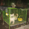 Picture_027