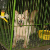 Photo #94741 de Happy