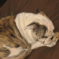 Photo #94867 de Iros