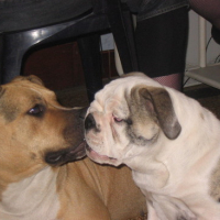 Photo #94921 de Iros