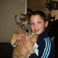 Photo #95077 de Buddy