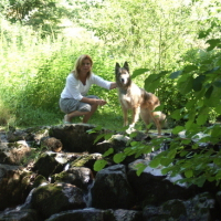 Photo #95263 de Buddy
