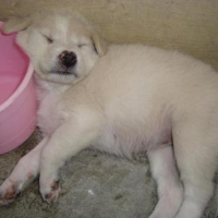 Photo #95299 de Bunny
