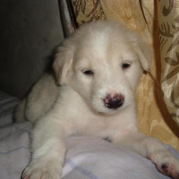 Photo #95389 de Bunny