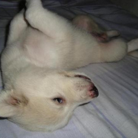 Photo #95395 de Bunny