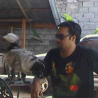 Photo #95425 de Boomer