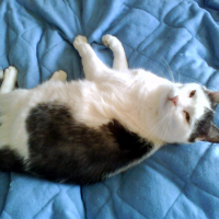Photo #95563 de Lucien
