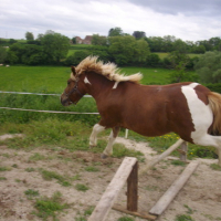 Photo #96433 de Eclair