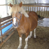 Photo #96439 de Eclair
