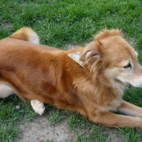 Photo #96463 de Kayla