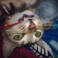 Photo #96565 de Zoé
