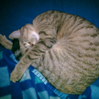 Photo #96571 de Zoé